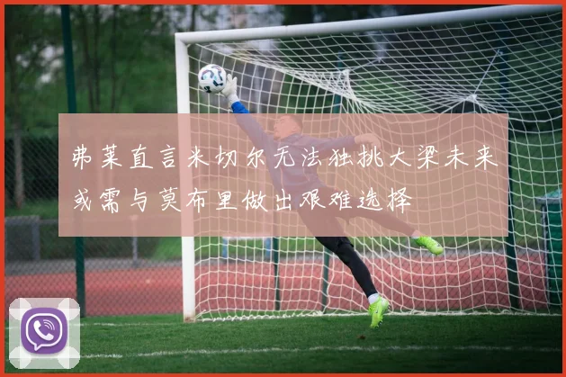 弗莱直言米切尔无法独挑大梁未来或需与莫布里做出艰难选择
